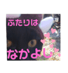 こてつなスタンプ（個別スタンプ：36）