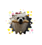 鈴木家のももちゃん（個別スタンプ：2）