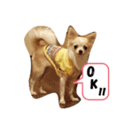 チワパピローズ（個別スタンプ：16）