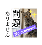sou.official.stamps#5（個別スタンプ：1）