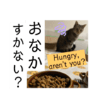 sou.official.stamps#5（個別スタンプ：2）
