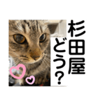 sou.official.stamps#5（個別スタンプ：3）