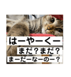 sou.official.stamps#5（個別スタンプ：5）