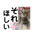 sou.official.stamps#5（個別スタンプ：6）