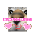 sou.official.stamps#5（個別スタンプ：9）