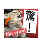sou.official.stamps#5（個別スタンプ：10）