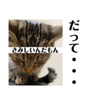 sou.official.stamps#5（個別スタンプ：11）
