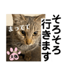 sou.official.stamps#5（個別スタンプ：12）