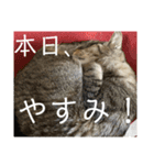 sou.official.stamps#5（個別スタンプ：13）