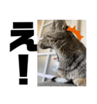 sou.official.stamps#5（個別スタンプ：14）