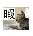 sou.official.stamps#5（個別スタンプ：15）