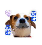 ろんろころん2（個別スタンプ：3）