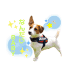 ろんろころん2（個別スタンプ：4）