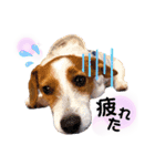 ろんろころん2（個別スタンプ：6）