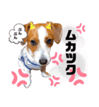 ろんろころん2（個別スタンプ：10）