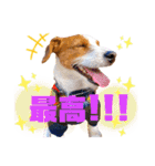 ろんろころん2（個別スタンプ：11）