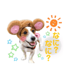 ろんろころん2（個別スタンプ：14）