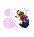 ろんろころん2（個別スタンプ：16）