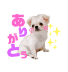 サダハル。②（個別スタンプ：2）
