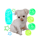 サダハル。②（個別スタンプ：7）