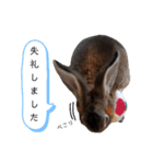 うさぎのぶりちゃん♥️（個別スタンプ：12）