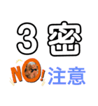 トイプー [STAY HOME]編（個別スタンプ：16）