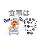 トイプー [STAY HOME]編（個別スタンプ：23）