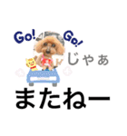 トイプー [STAY HOME]編（個別スタンプ：36）