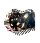 りんここ♡（個別スタンプ：1）