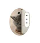 猫と暮らすと幸せいっぱい（個別スタンプ：20）