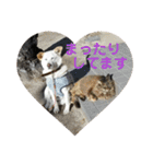 猫と暮らすと幸せいっぱい（個別スタンプ：33）