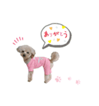 れんすたんぷ！（個別スタンプ：8）