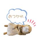 しげっちぃ（個別スタンプ：1）