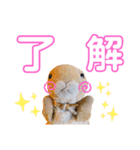 しげっちぃ（個別スタンプ：3）