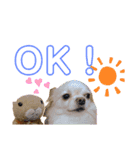 しげっちぃ（個別スタンプ：4）