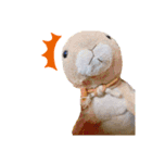 しげっちぃ（個別スタンプ：6）