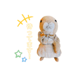しげっちぃ（個別スタンプ：9）