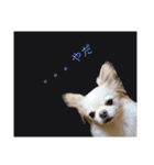 しげっちぃ（個別スタンプ：14）