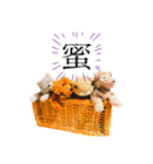 しげっちぃ（個別スタンプ：15）