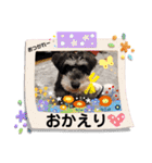 ジーニーの毎日（個別スタンプ：18）