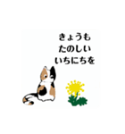 子猫 78-1（個別スタンプ：6）