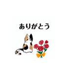 子猫 78-1（個別スタンプ：11）