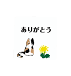 子猫 78-1（個別スタンプ：16）