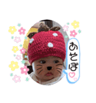 IROHA♡2（個別スタンプ：12）