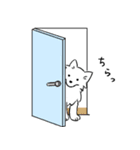 ふわふわした白い犬（個別スタンプ：21）