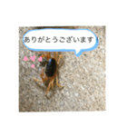 サワガニ2ひき（個別スタンプ：2）