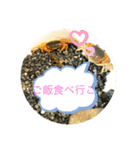 サワガニ2ひき（個別スタンプ：15）
