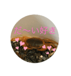 サワガニ2ひき（個別スタンプ：16）