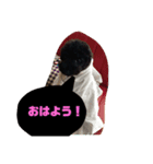 林コジ（個別スタンプ：2）