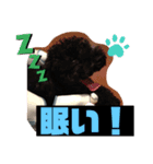 林コジ（個別スタンプ：5）